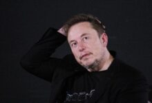 "Esto Debe Detenerse: El Millonario de Tesla Elon Musk Lanza Advertencia de ‘Bancarrota’ a la Fed Tras Provocar Pánico en el Precio de Bitcoin" - Cripto Boom