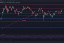 BTC puede alcanzar un nuevo récord histórico si supera este obstáculo: Análisis de precio de Bitcoin - Descubre cómo lograrlo - Cripto Boom