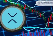 Experto Afirma: No Hay Excusa para Mantener o Operar XRP tras el Último Evento - ¡Descubre Por Qué! - Cripto Boom