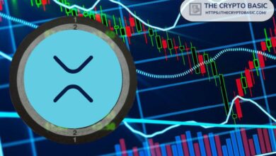 Experto Afirma: No Hay Excusa para Mantener o Operar XRP tras el Último Evento - ¡Descubre Por Qué! - Cripto Boom