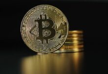 Precios de Bitcoin Alcanzan su Punto Más Alto Desde Finales de Septiembre: Descubre los Factores que Impulsan las Ganancias - Cripto Boom