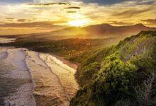 Encuesta de El Salvador Revela el Efecto Lindy de Bitcoin en Acción: Descubre Más - Cripto Boom