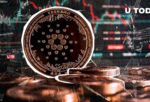 ¿Qué Sucede con Cardano? Debate en la Comunidad ADA - Cripto Boom