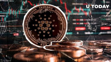 ¿Qué Sucede con Cardano? Debate en la Comunidad ADA - Cripto Boom