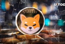Actualización de Gobernanza de Shiba Inu: Miembro del Equipo Revela Desarrollos Cruciales - Descubre los Detalles Clave - Cripto Boom