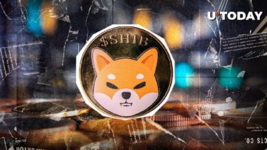 Actualización de Gobernanza de Shiba Inu: Miembro del Equipo Revela Desarrollos Cruciales - Descubre los Detalles Clave - Cripto Boom