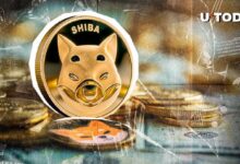 Cero SHIB Quemados en 24 Horas – ¿Qué Sucede? Descúbrelo Aquí - Cripto Boom