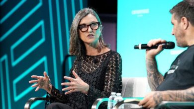 El Ether Participado Establece un Referente en la Economía Cripto, Según ARK Invest - Descubre Más - Cripto Boom