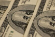 El Nuevo Gobierno de Trump Apoyará el Dólar Fuerte, Afirma Asesor Económico: Descubre Más - Cripto Boom
