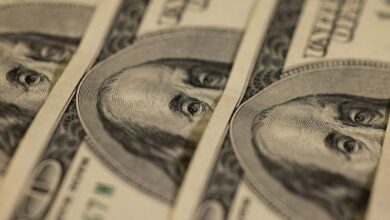 El Nuevo Gobierno de Trump Apoyará el Dólar Fuerte, Afirma Asesor Económico: Descubre Más - Cripto Boom