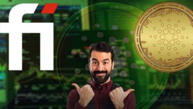 Descubre los Mejores Tokens del Momento para Desbloquear Hoy: Pendle y GMX Lideran el Camino - Cripto Boom