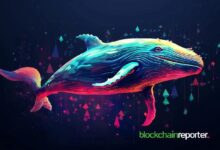 ¡Balena Gana $1.03M de Beneficio con el Token TURBO tras Subida del Precio del 35.6%! Lee Más Aquí. - Cripto Boom