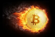 BTC Muestra Patrón Familiar: ¡El Estocástico Indica un Gran Rally! - Cripto Boom