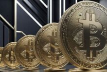 El Dominio del Mercado de Bitcoin Alcanza su Máximo en 3 Años—Descubre Qué Significa Esto - Cripto Boom