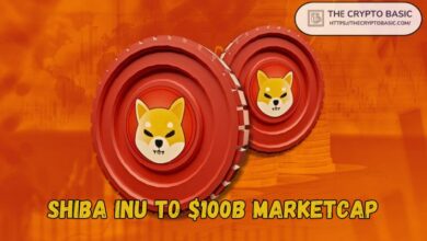 Experto Predice Capitalización de Mercado de $100B para Shiba Inu con Apuesta Fuerte: Proyección de Precio de SHIB si Esto Sucede, ¡Descúbrelo! - Cripto Boom