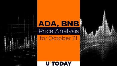 Predicción de precios de ADA y BNB para el 21 de octubre: ¡Descubre las tendencias actuales! - Cripto Boom