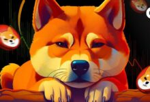 La Volatilidad de Shiba Inu (SHIB) Aumenta: Invierte Inteligentemente mientras los Inversores Trasladan Tokens a los Intercambios - Cripto Boom