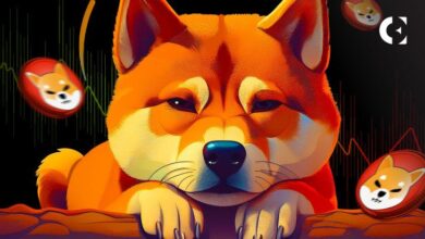 La Volatilidad de Shiba Inu (SHIB) Aumenta: Invierte Inteligentemente mientras los Inversores Trasladan Tokens a los Intercambios - Cripto Boom