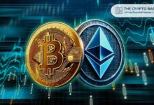 Experto Predice: Ethereum Podría Debilitarse en el Q4 pero Recuperarse en 2025 Mientras ETH/BTC se Acerca a su Punto Mínimo - Descubra Más - Cripto Boom