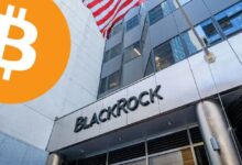 "¡Descubre cómo IBIT de BlackRock ya controla más del 2% del suministro de BTC en circulación!" - Cripto Boom