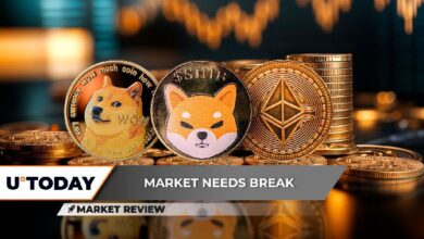 Ethereum (ETH) regresa a $3,000: Dogecoin (DOGE) alcanza picos de 7.7 mil millones, ¿continuará el crecimiento del 40% de Shiba Inu (SHIB)? ¡Descúbrelo aquí! - Cripto Boom