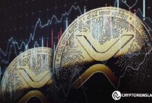El Impacto del FMI en Ripple Aumenta: Predicciones de Precio XRP y Desafíos Legales ¿Qué Sigue? - Cripto Boom