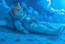 Trader que Predijo el Colapso Cripto de 2021 Ahora es Alcista en Dogecoin y Sugiere un Despegue de Bitcoin ¡Descubre Más! - Cripto Boom