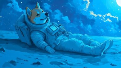 Trader que Predijo el Colapso Cripto de 2021 Ahora es Alcista en Dogecoin y Sugiere un Despegue de Bitcoin ¡Descubre Más! - Cripto Boom
