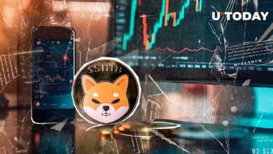 142 Trillones de SHIB: ¿Resistirá el Soporte Clave de Shiba Inu? Descúbrelo Ahora! - Cripto Boom