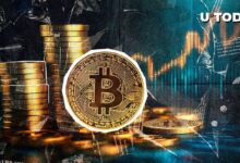 Bitcoin (BTC) Despega: ¡Descubre los 3 Niveles de Precio Clave a Observar Ahora! - Cripto Boom