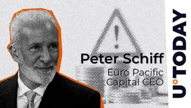 Peter Schiff Advierte sobre las Acciones de MicroStrategy: Descubre Más - Cripto Boom