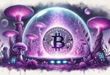 Analista Advierte Sobre Bitcoin: ¡Sé Precavido en Esta Semana ‘Extraña’ para BTC! - Cripto Boom