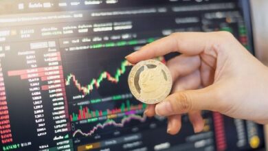 Dogecoin (DOGE) sube más del 10% en las últimas 24 horas—¡Descubre por qué! - Cripto Boom