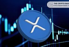 Lo que Impulsaría el Nuevo Movimiento Masivo de XRP, Según un Experto - Descúbrelo Aquí - Cripto Boom