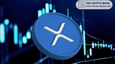 Lo que Impulsaría el Nuevo Movimiento Masivo de XRP, Según un Experto - Descúbrelo Aquí - Cripto Boom