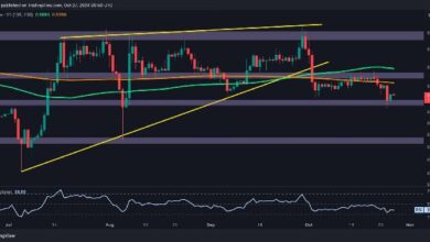 Análisis del Precio de Ripple: ¿Calma Antes de la Tormenta para XRP tras una Caída Semanal del 6.5%? ¡Descubre Más! - Cripto Boom