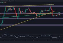Análisis del Precio de Ripple: ¿Es Posible un Gran Rally de XRP por Encima de $0.6? ¡Descúbrelo Aquí! - Cripto Boom