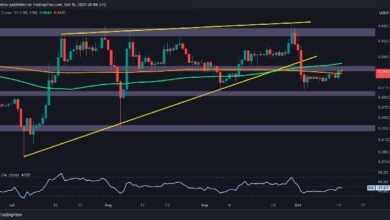 Análisis del Precio de Ripple: ¿Es Posible un Gran Rally de XRP por Encima de $0.6? ¡Descúbrelo Aquí! - Cripto Boom