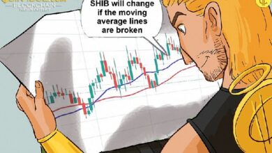 Shiba Inu Pierde Terreno y Continúa en su Tendencia Lateral: ¿Qué Viene Luego? - Cripto Boom