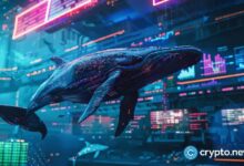 La actividad de ballenas en principales criptoactivos se dispara: ¿qué indican las señales mixtas? - Cripto Boom