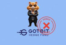 Hamster Kombat desmiente su relación con Gotbit: Descubre la verdad ahora - Cripto Boom