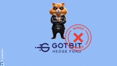 Hamster Kombat desmiente su relación con Gotbit: Descubre la verdad ahora - Cripto Boom
