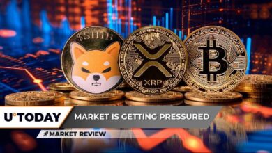 Progreso de la Cruz Dorada de Shiba Inu (SHIB): ¡Descubre el soporte clave de XRP que no debe romperse! ¿Está Bitcoin (BTC) listo para rendirse? - Cripto Boom