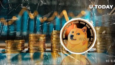 ¡Auge Masivo de $1.17 Mil Millones en DOGE en 24 Horas! ¿Pero Por Qué Cae un Indicador Clave? - Cripto Boom
