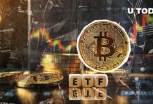 ¡$500 Millones en Bitcoin en 24 Horas: ETFs Despiertan! - Cripto Boom