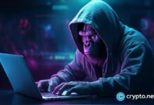 D3 lanza dominios .APE para usuarios de ApeCoin: ¡Conoce más aquí! - Cripto Boom