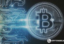 Bitcoin Estancado, Altcoins se Revierten: Descubre qué Significa la ‘Zona Banana’ para los Inversionistas - Cripto Boom