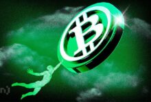 El Camino de Bitcoin a $67,000: ¡Descúbrelo Ahora! - Cripto Boom