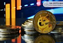 Ruptura en Doble Suelo de Dogecoin: ¿Se Acerca un Rally Alcista hacia $0.15? ¡Descúbrelo! - Cripto Boom