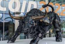 Optimismo entre los Toros de Bitcoin: Analista Predice Fuertes Retornos de BTC para el Resto de Octubre ¡Descubre Más! - Cripto Boom
